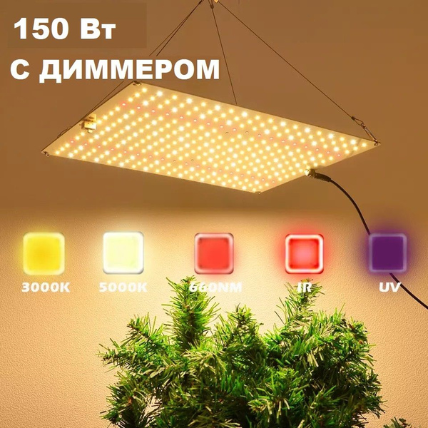 www.ozon.ru